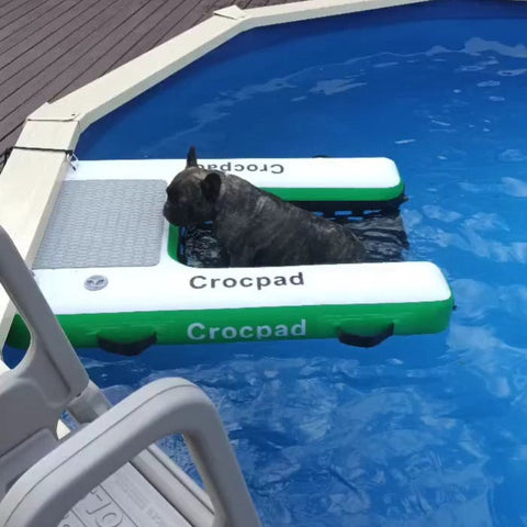Inflatable dog ramp for pools and docks