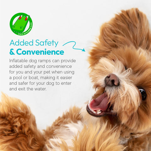 Dog Ramp for Pool: Essential Safety Guide for Aussie Dogs