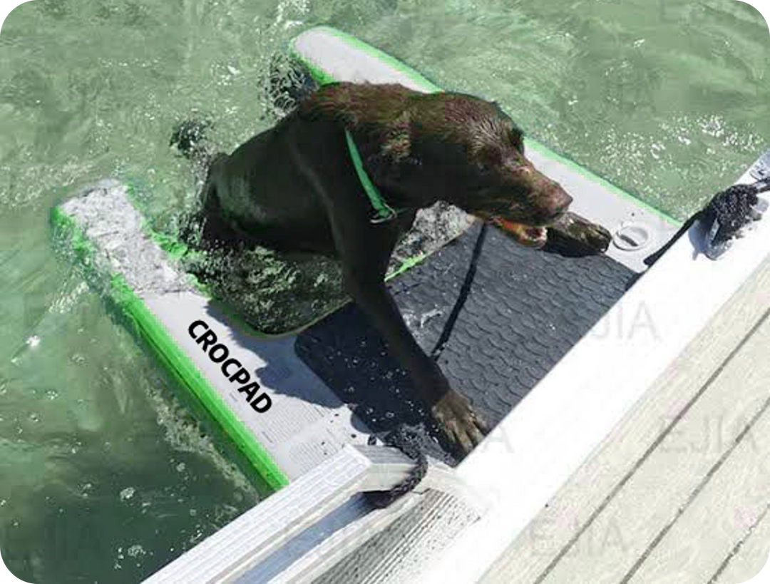 Inflatable Ramp Pool CROCPAD INFLATABLE DOG RAMP FOR BOATS, POOLS AND DOCKS – Crocpad