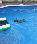 CROCPAD INFLATABLE DOG RAMP FOR BOATS, POOLS AND DOCKS — product video