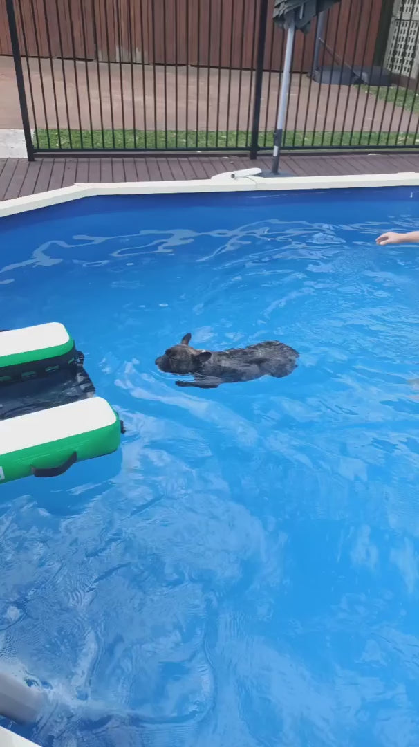 CROCPAD INFLATABLE DOG RAMP FOR BOATS, POOLS AND DOCKS — product video