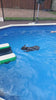 CROCPAD INFLATABLE DOG RAMP FOR BOATS, POOLS AND DOCKS — product video
